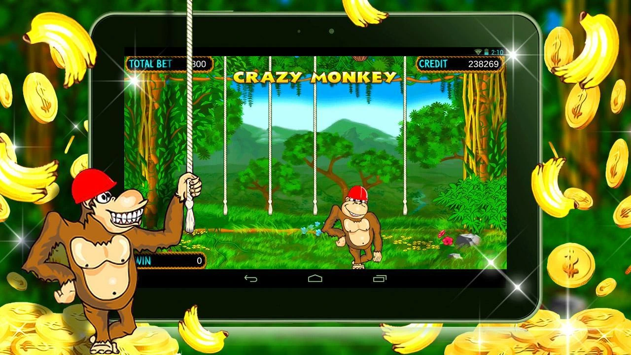 Crazy Monkey играть бесплатно онлайн
