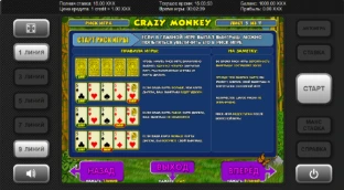 Риск-игра в Crazy Monkey на деньги